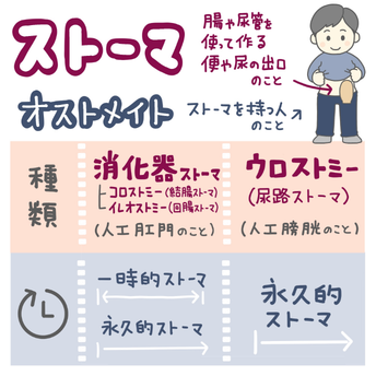 ストーマ・オストメイト