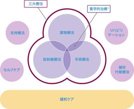 包括的がん医療の全体図