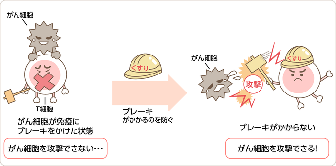 免疫チェックポイント阻害薬とは