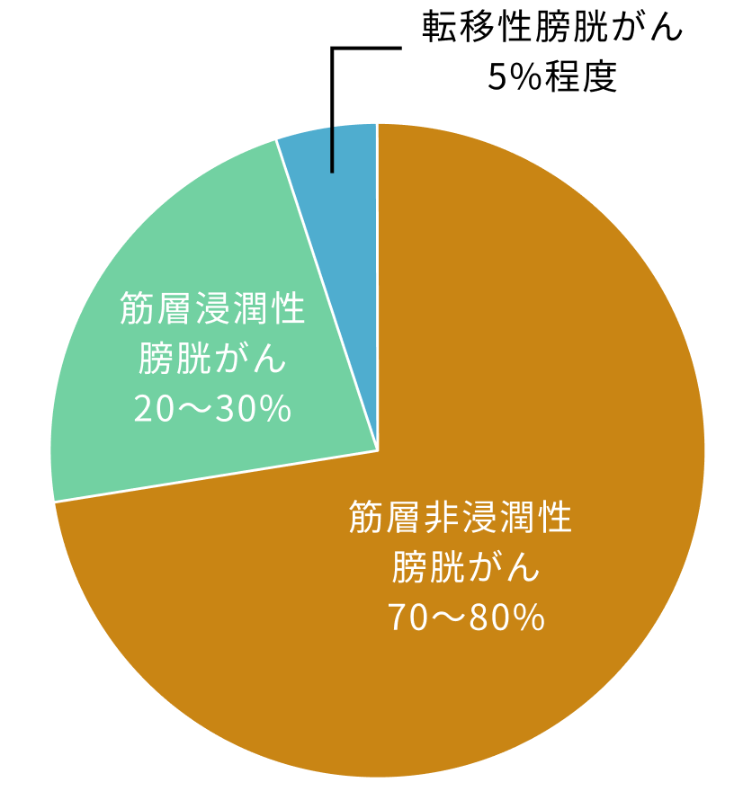 膀胱がんの分類と割合