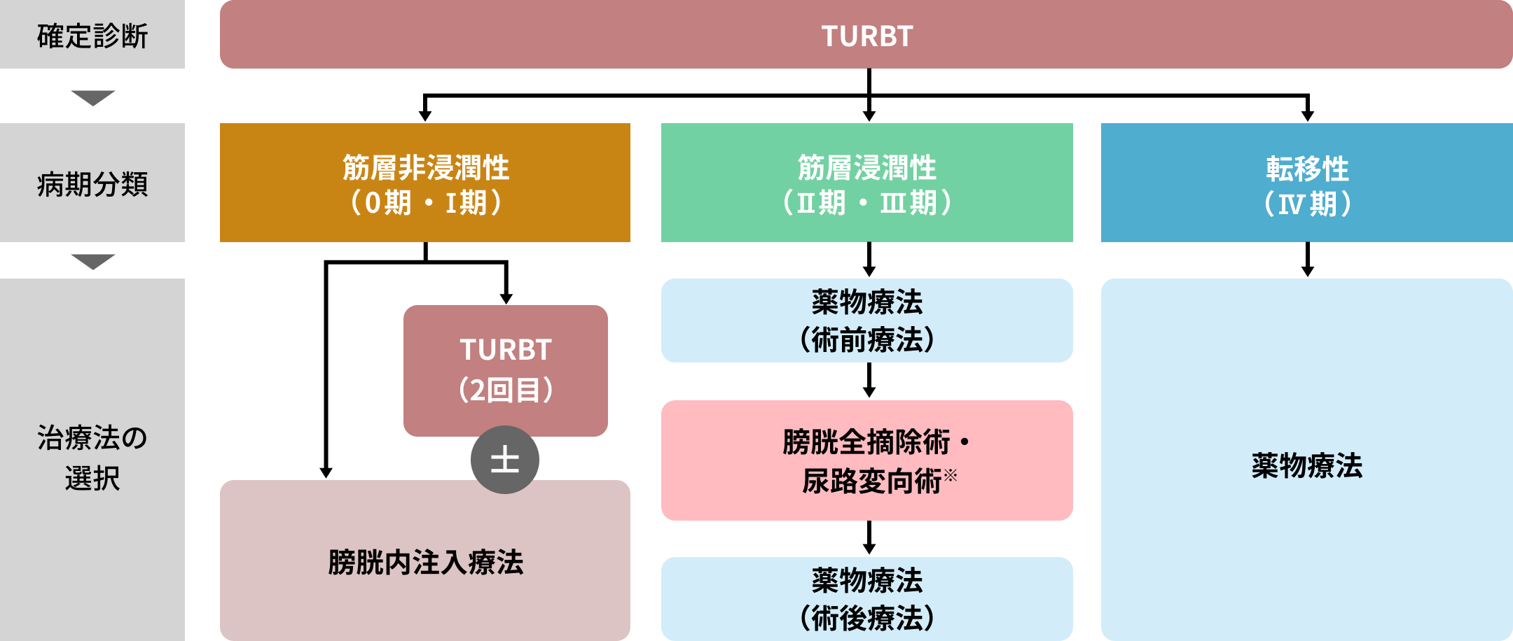 病期別の治療方針