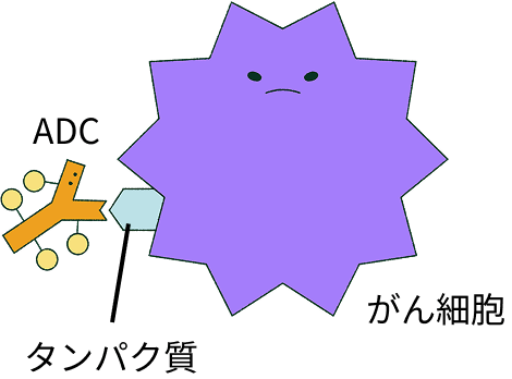 1_はたらき