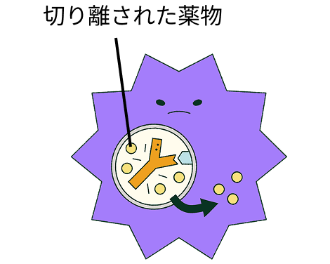 2_はたらき