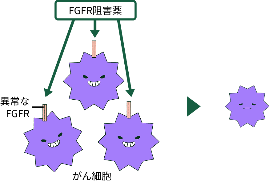 はたらき