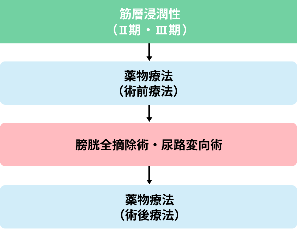 筋層浸潤性膀胱がんの治療のながれ