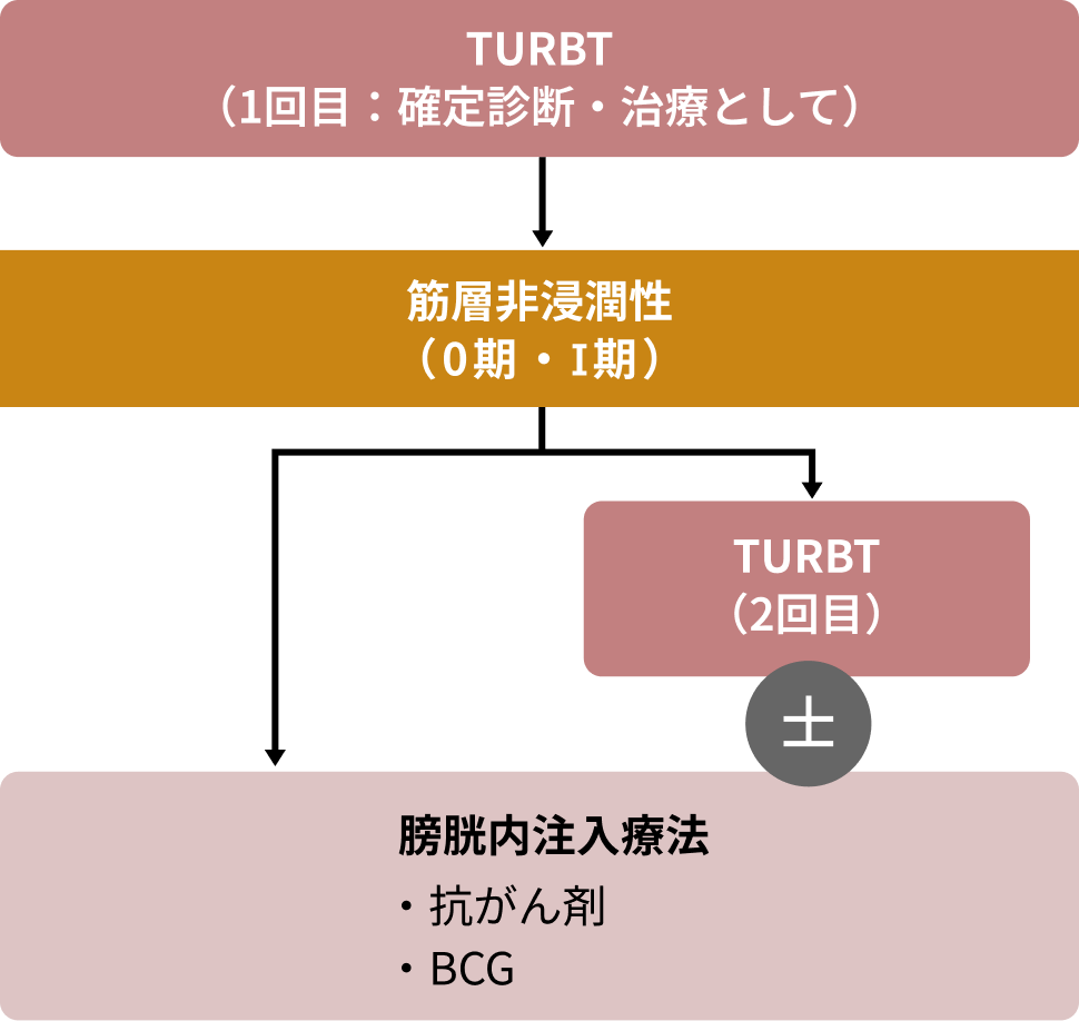 筋層非浸潤性膀胱がんの治療のながれ