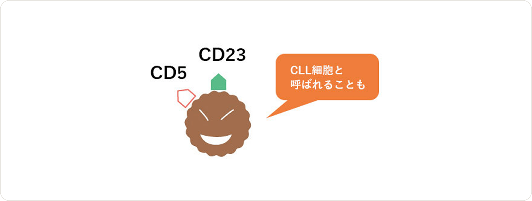 画像 慢性リンパ性白血病（CLL）の診断基準