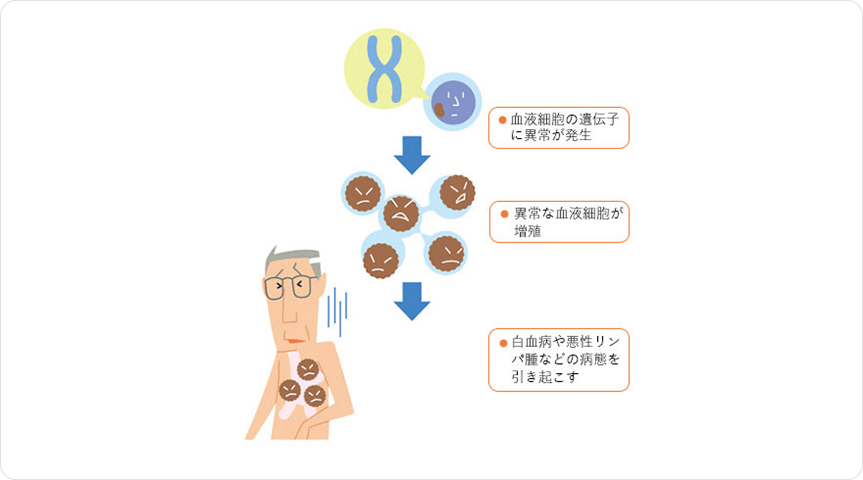 画像 血液がんとは