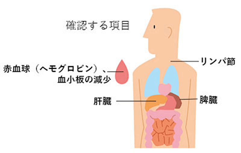 画像 改訂Rai（ライ）分類