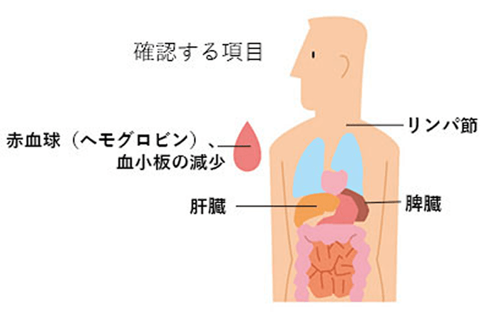 画像 改訂Rai（ライ）分類
