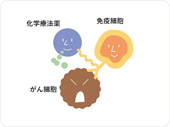 画像 薬剤を組み合わせて使う併用療法