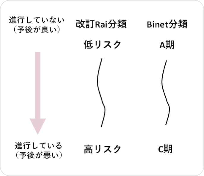 画像 慢性リンパ性白血病（CLL）の予後因子