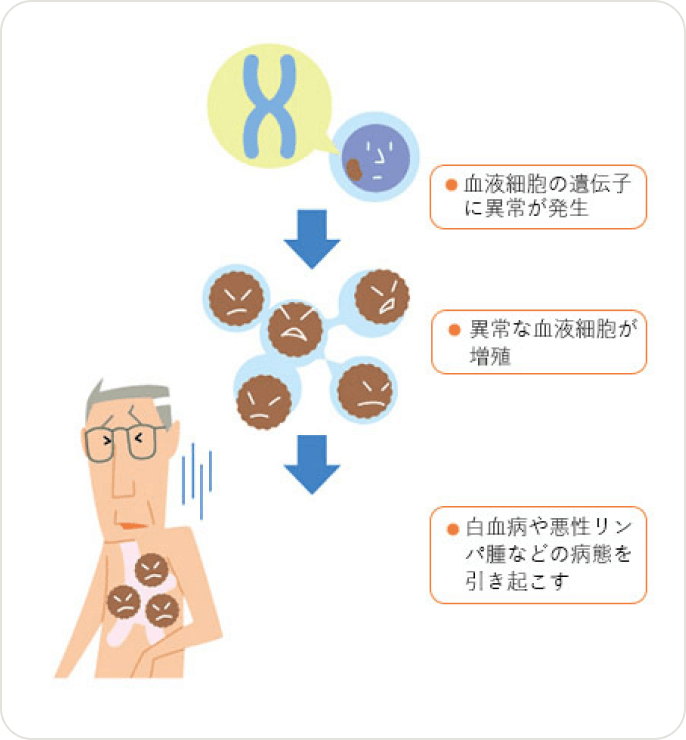 画像 血液がんとは