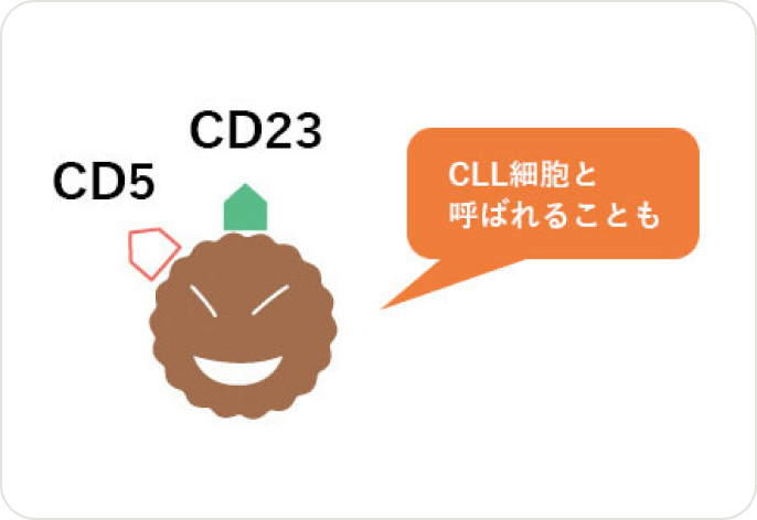 画像 慢性リンパ性白血病（CLL）の診断基準