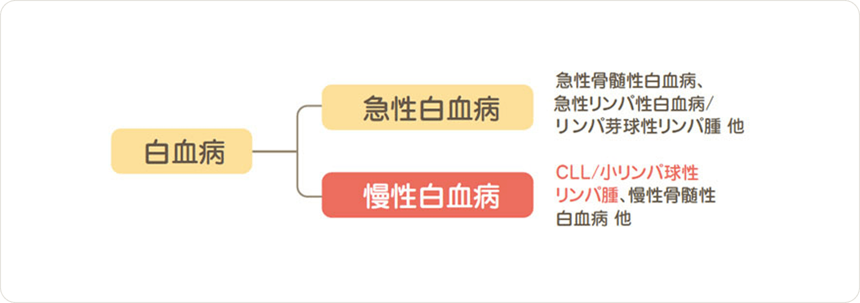 画像 急性白血病と慢性白血病の違い