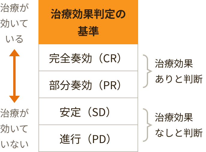 画像 定期検査は、治療効果や患者さんの状態を見極めるために重要