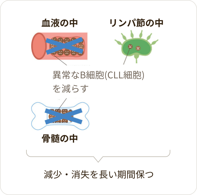 画像 異常なB細胞（CLL）の減少・消失を長い期間保つ