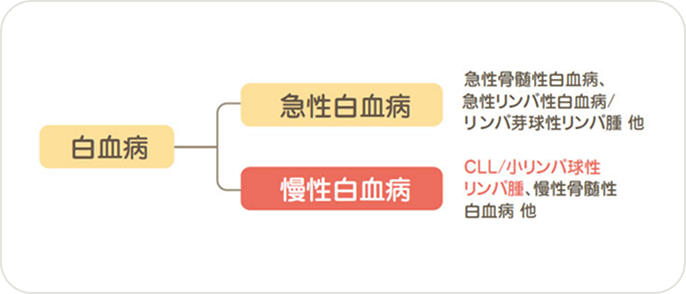 画像 急性白血病と慢性白血病の違い
