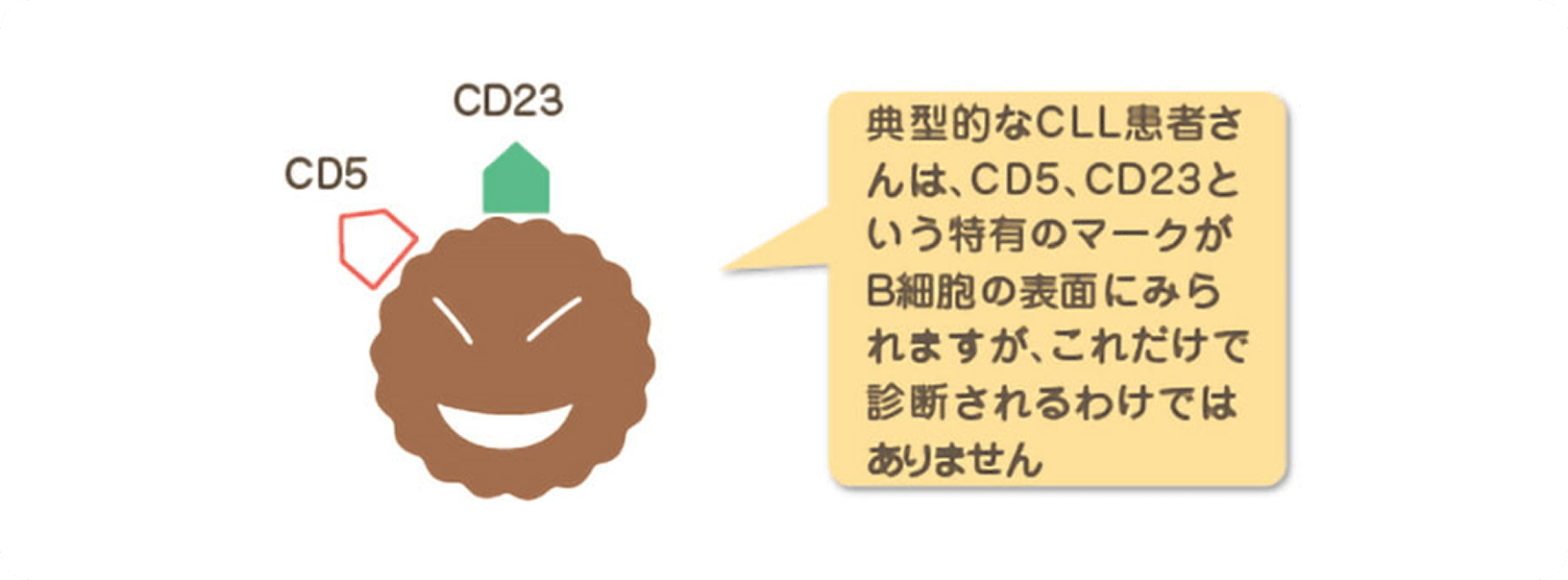 画像 細胞表面マーカー検査