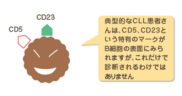 画像 細胞表面マーカー検査