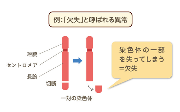 画像 FISH法