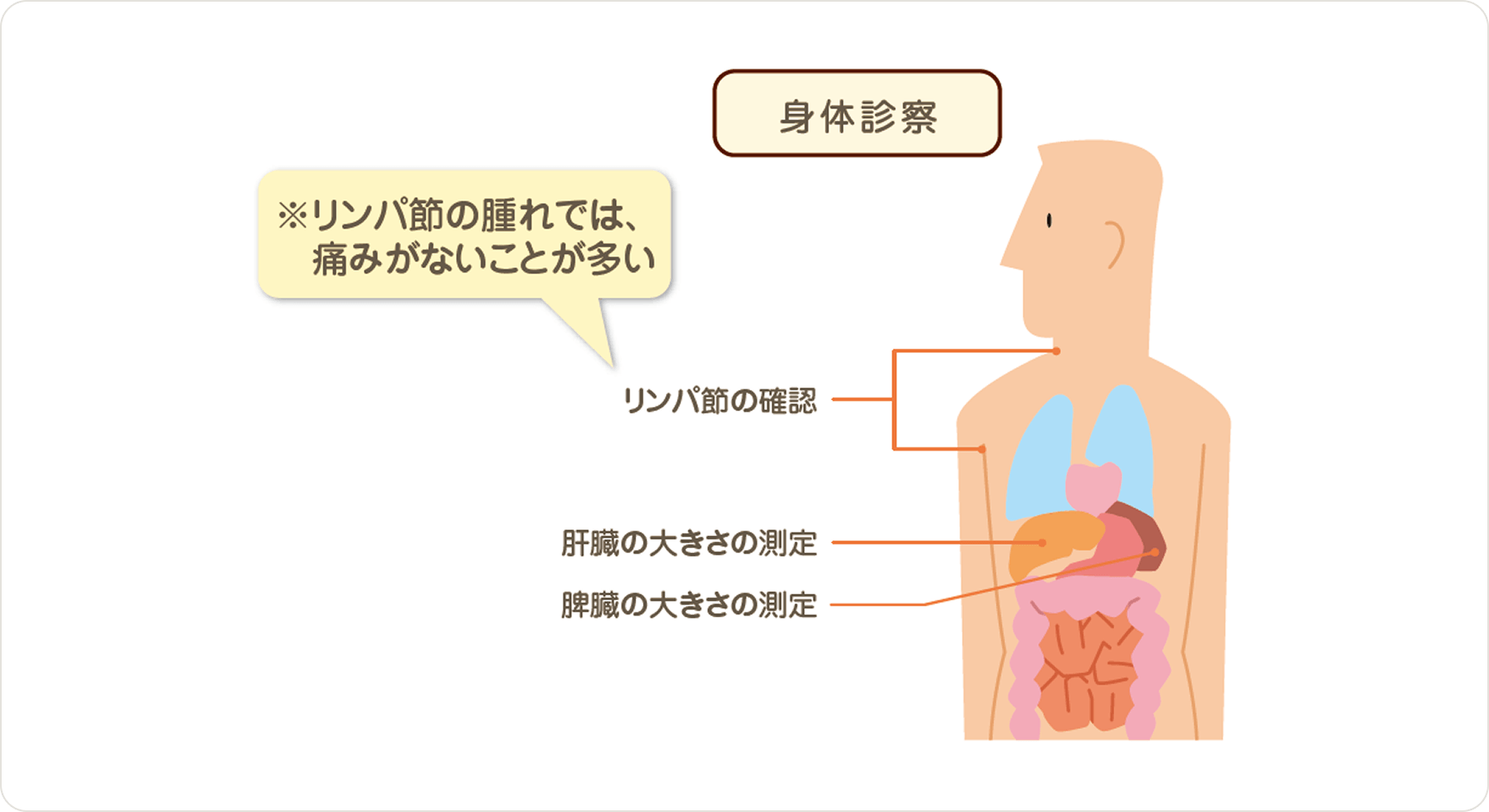 画像 病気の進行具合を調べる検査