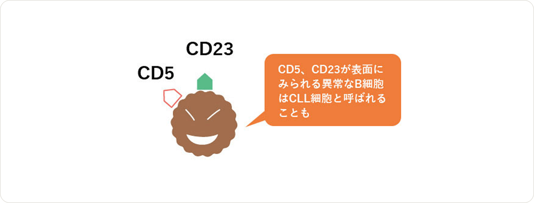 画像 異常なB細胞の表面のマーク