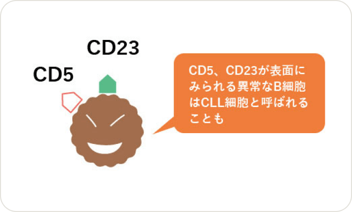 画像 異常なB細胞の表面のマーク
