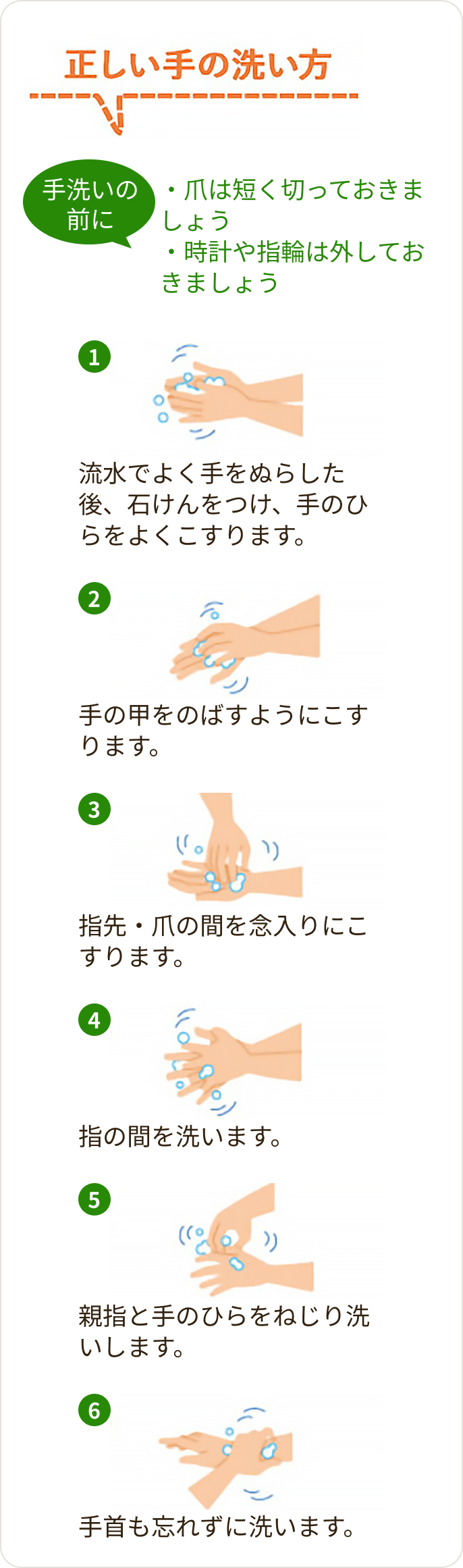 画像 正しい手の洗い方