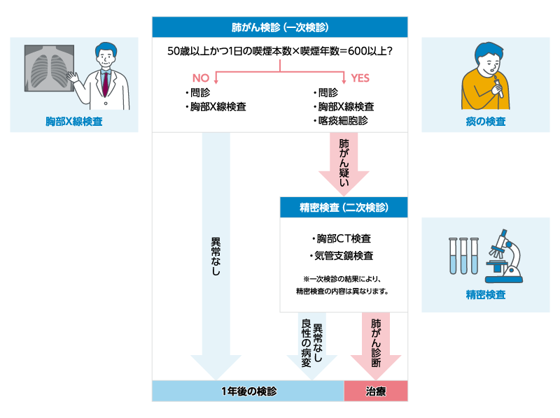 肺がん検診の流れ