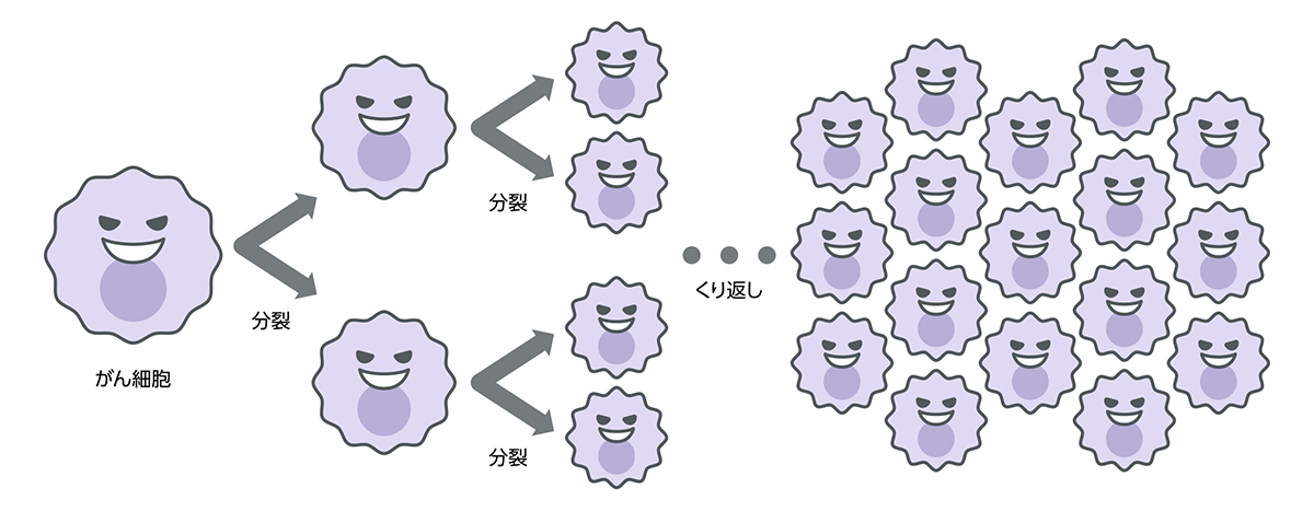 EGFR遺伝子変異とがん細胞の増殖