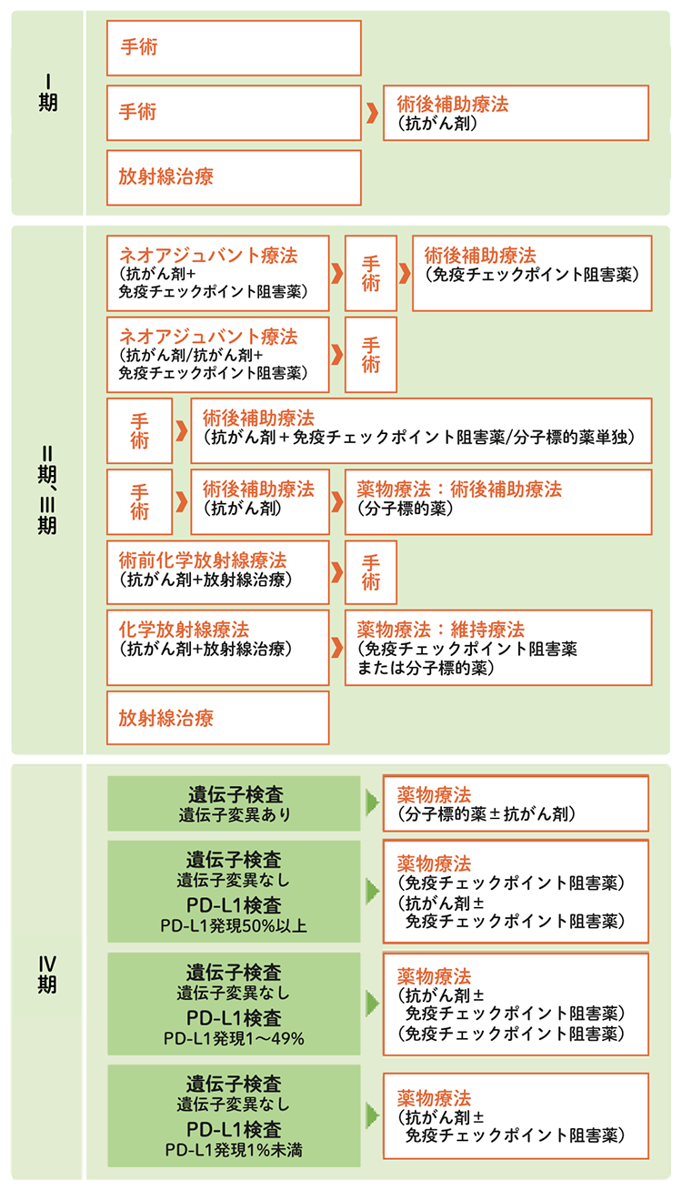 非小細胞肺がんの標準治療