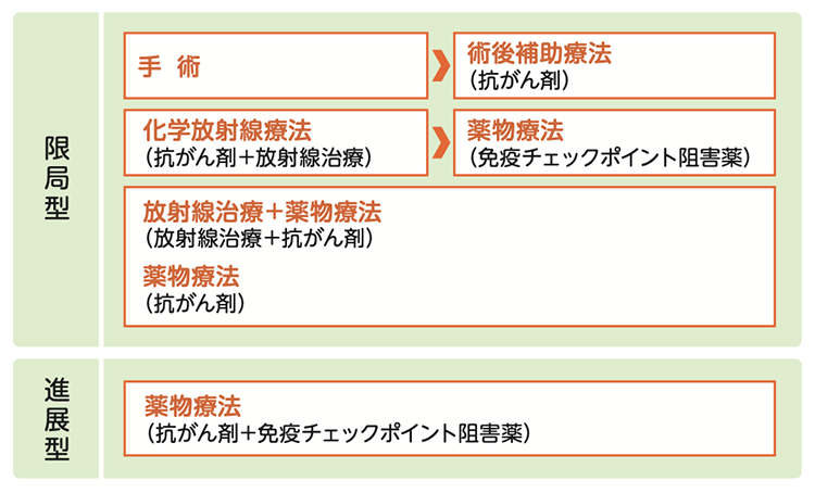 小細胞肺がんの標準治療