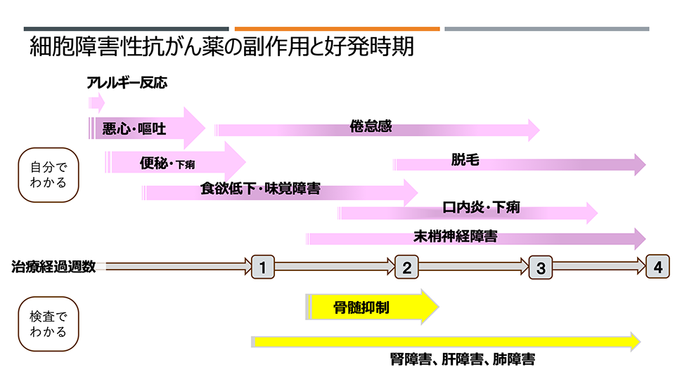 細胞障害性抗がん薬の副作用と好発時期の図