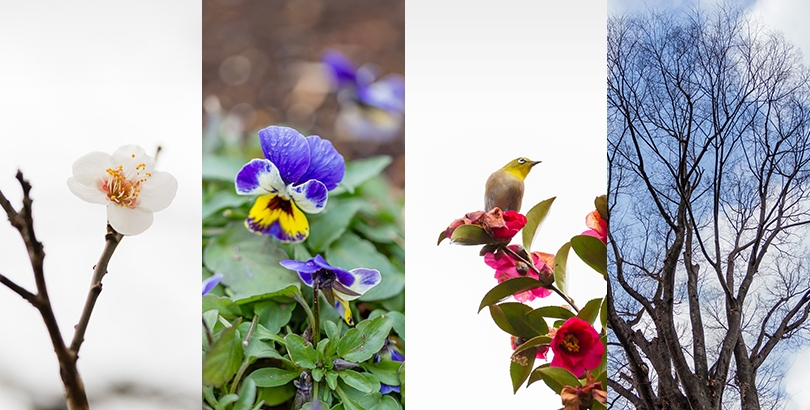 ゆるっと俳句散歩 Vol.2＜実践編＞