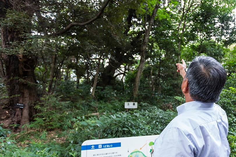 敷地の内外を隔てるために土塁が造られ、それを固めるために植えられたシイやアカガシが鬱蒼とした木陰をつくっている。