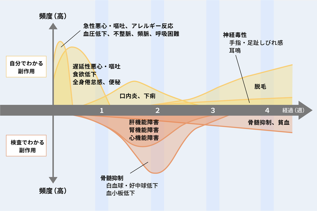 図：抗がん剤の主な副作用と時期の目安