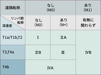 臨床的 (c) ステージ