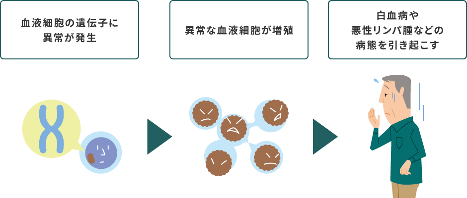 血液細胞の遺伝子に異常が発生 → 異常な血液細胞が増殖 → 白血病や悪性リンパ腫などの病態を引き起こす