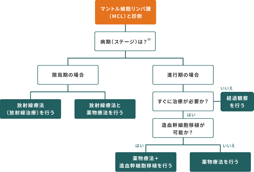 マントル細胞リンパ腫（MCL）と診断　【限局期の場合】放射線療法（放射線治療）を行う、放射線療法と薬物療法を行う　【進行期の場合】すぐに治療が必要でなければ経過観察を行う、すぐに治療が必要な場合は、造血幹細胞移植が可能であれば薬物療法と造血幹細胞移植を行う、造血幹細胞移植が可能でなければ薬物療法を行う