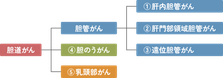 胆道がんは、がんができる場所によって、大きく3つに分類されます。