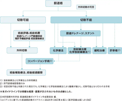 診断から治療までの流れ
